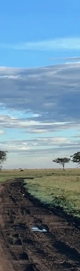 Serengeti von oben? Hoch in die Lüfte.